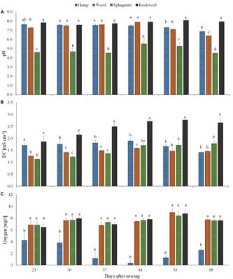 Soilless Cultivation: Dynamically Changing Chemical Properties and Physical Conditions of Organic Substrates Influence the Plant Phenotype of Lettuce